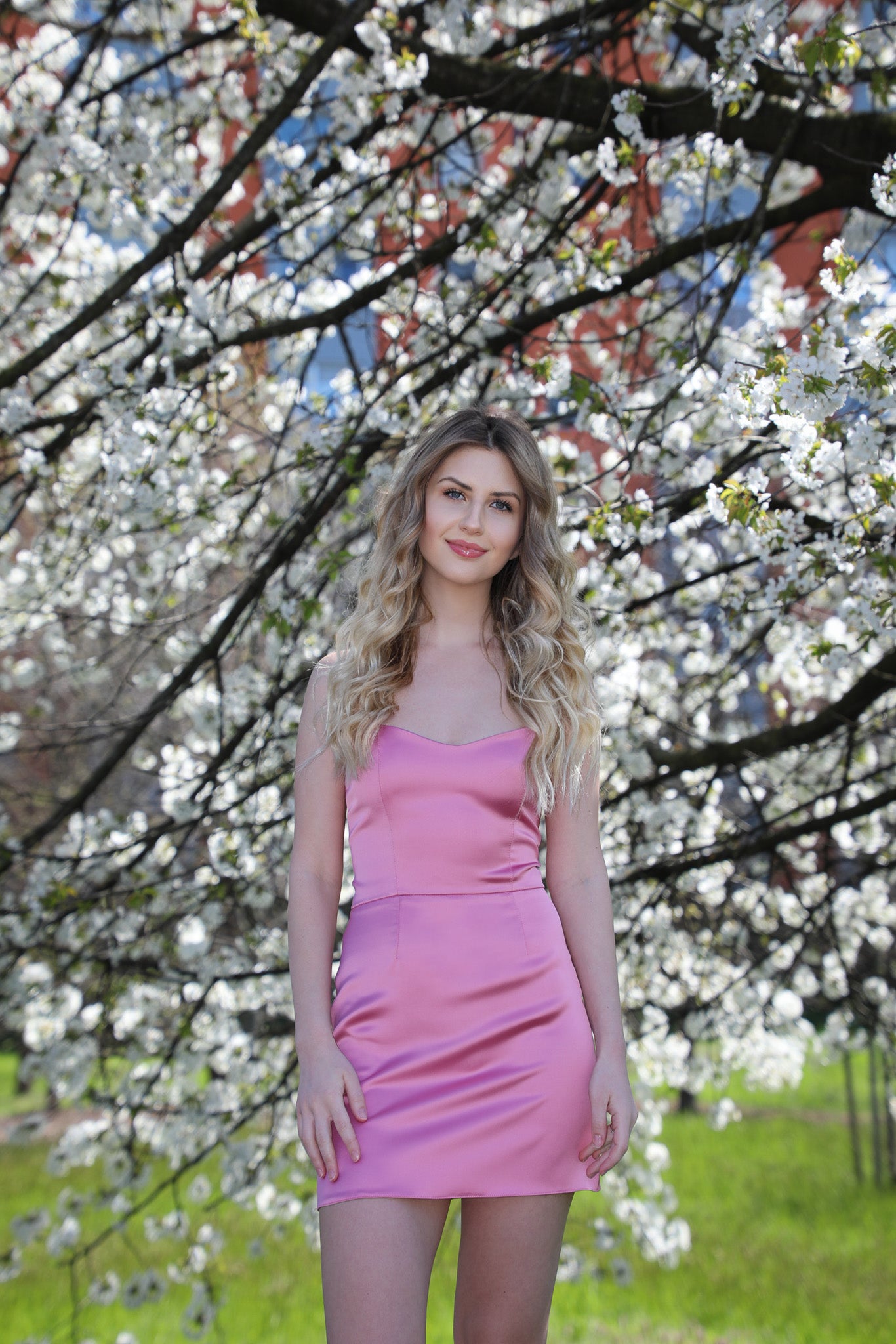 Pink Dress